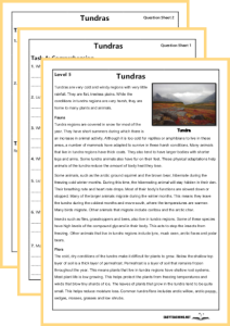 &lsquo;Tundras&rsquo; Grammar & Comprehension